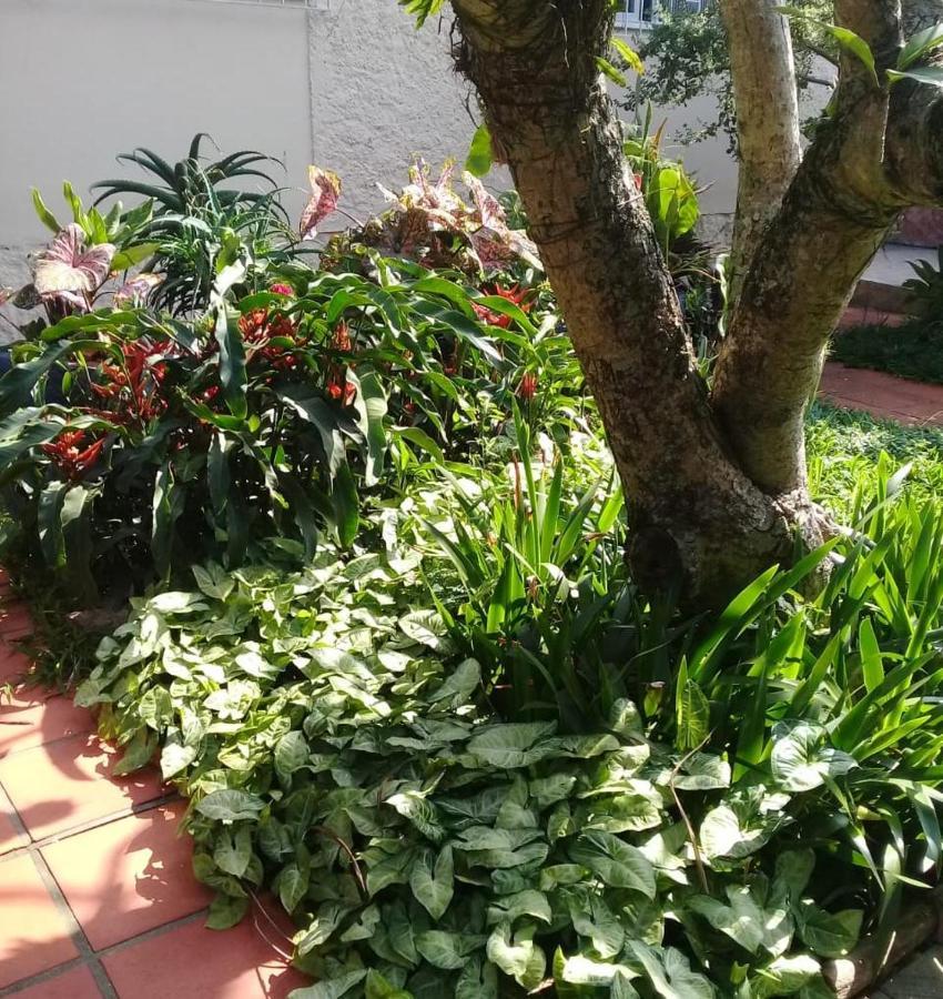 Hostel Nossa Casa Florianopolis Luaran gambar
